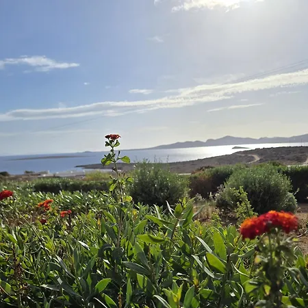 Paros Afrodite Luxury Βίλα *