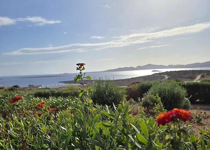 Paros Afrodite Luxury Villa *